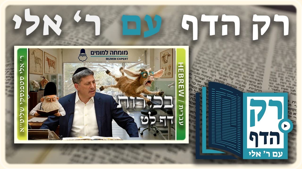 חזרה - בכורות דף לט | "רק הדף" עם ר' אלי סטפנסקי