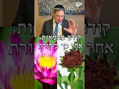 👍🏻 קודם מחמאות, אחר כך ביקורת 👎🏻