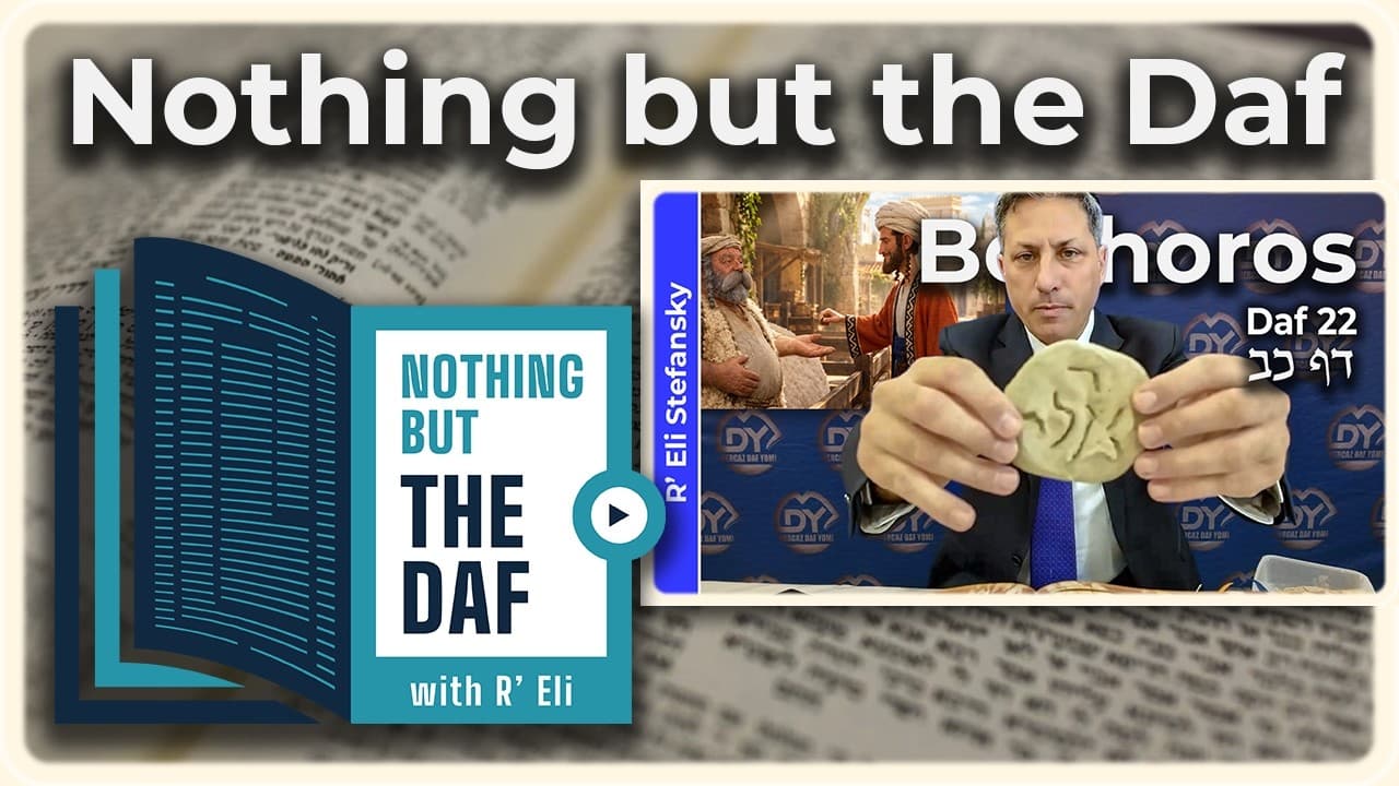 CHAZARAH - Bechoros Daf 22 | "Nothing but the Daf" with R' Eli Stefansky