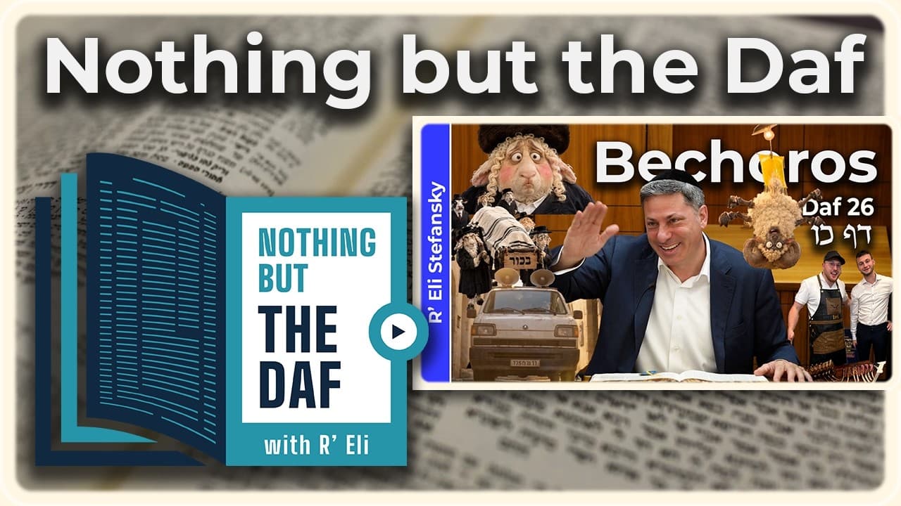 CHAZARAH - Bechoros Daf 26 | "Nothing but the Daf" with R' Eli Stefansky