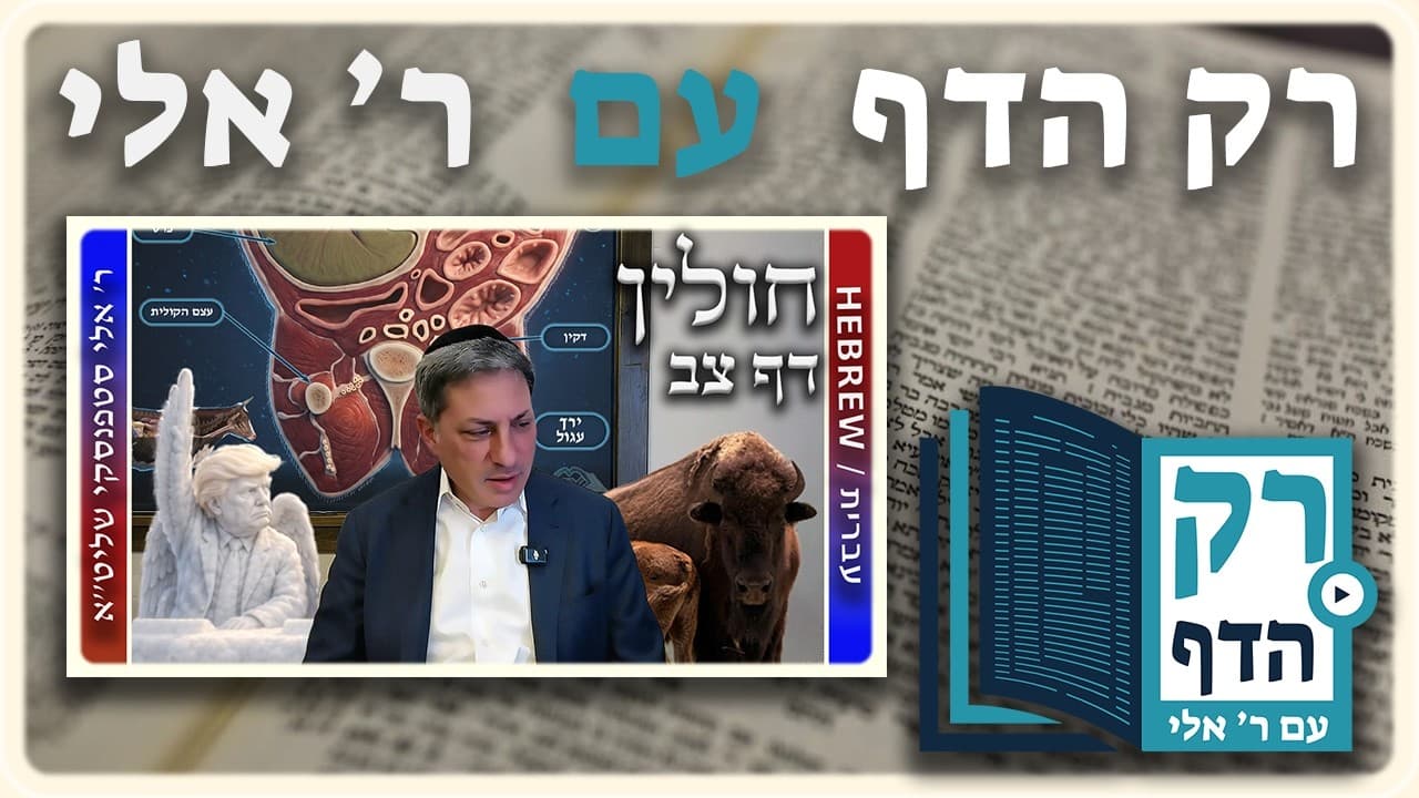 חזרה - חולין דף צב | "רק הדף" עם ר' אלי סטפנסקי