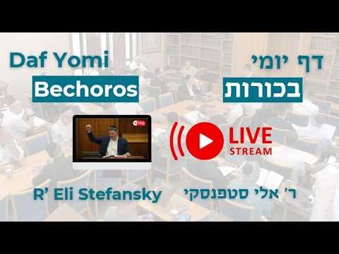 מרכז דף יומי - בכורות דף יג. - ר' אלי סטפנסקי שליט"א