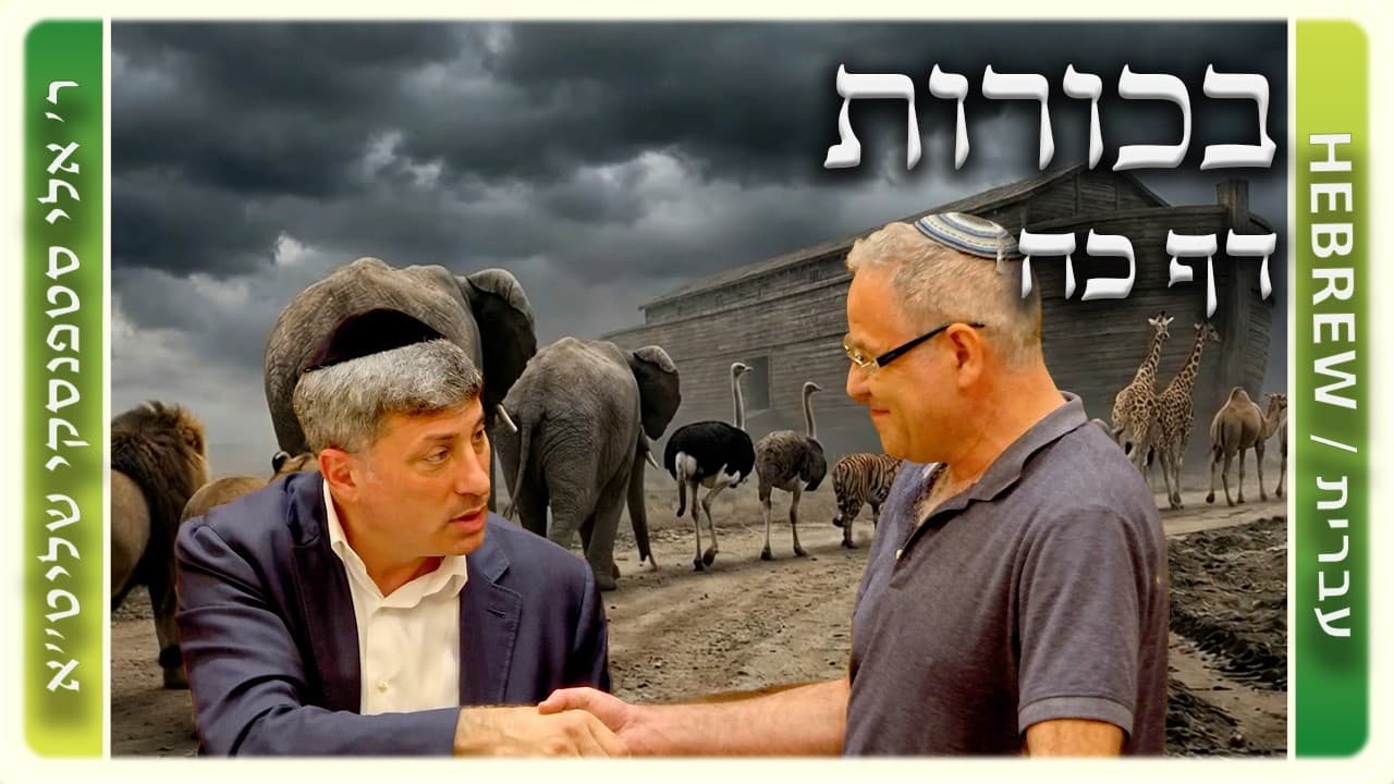 מרכז דף יומי - בכורות דף כח. - ר' אלי סטפנסקי שליט"א