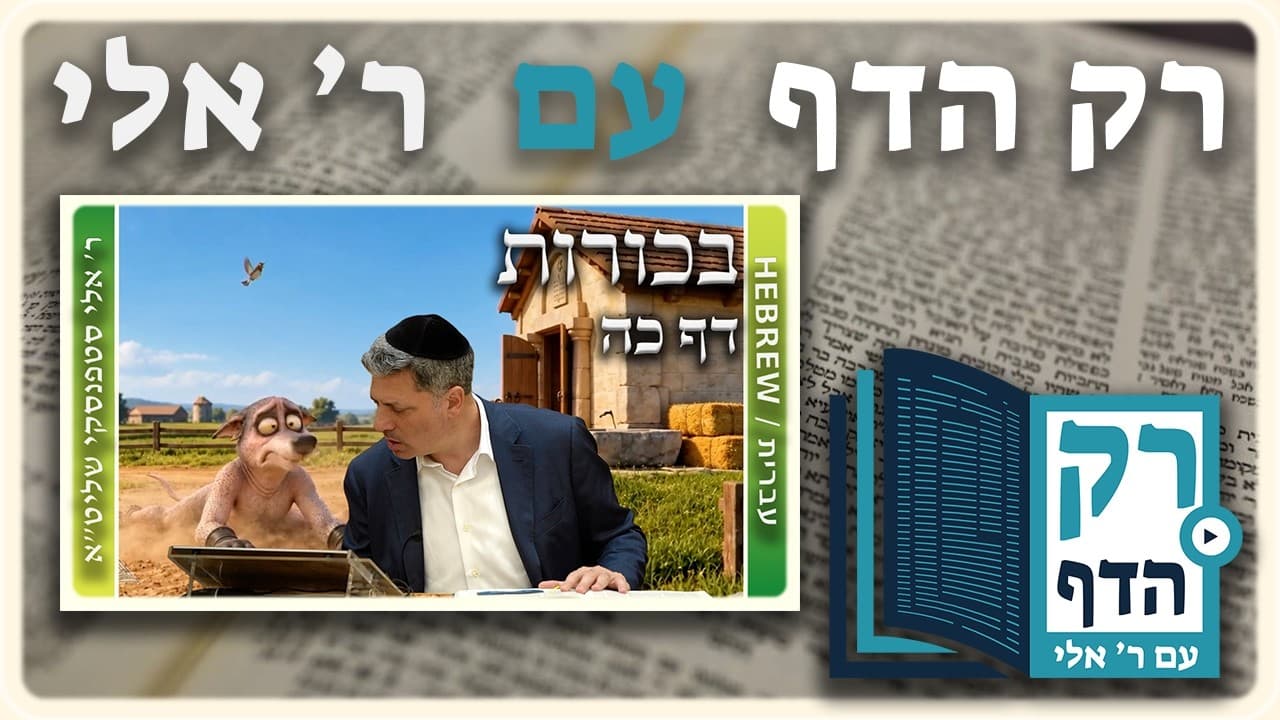 חזרה - בכורות דף כה | "רק הדף" עם ר' אלי סטפנסקי