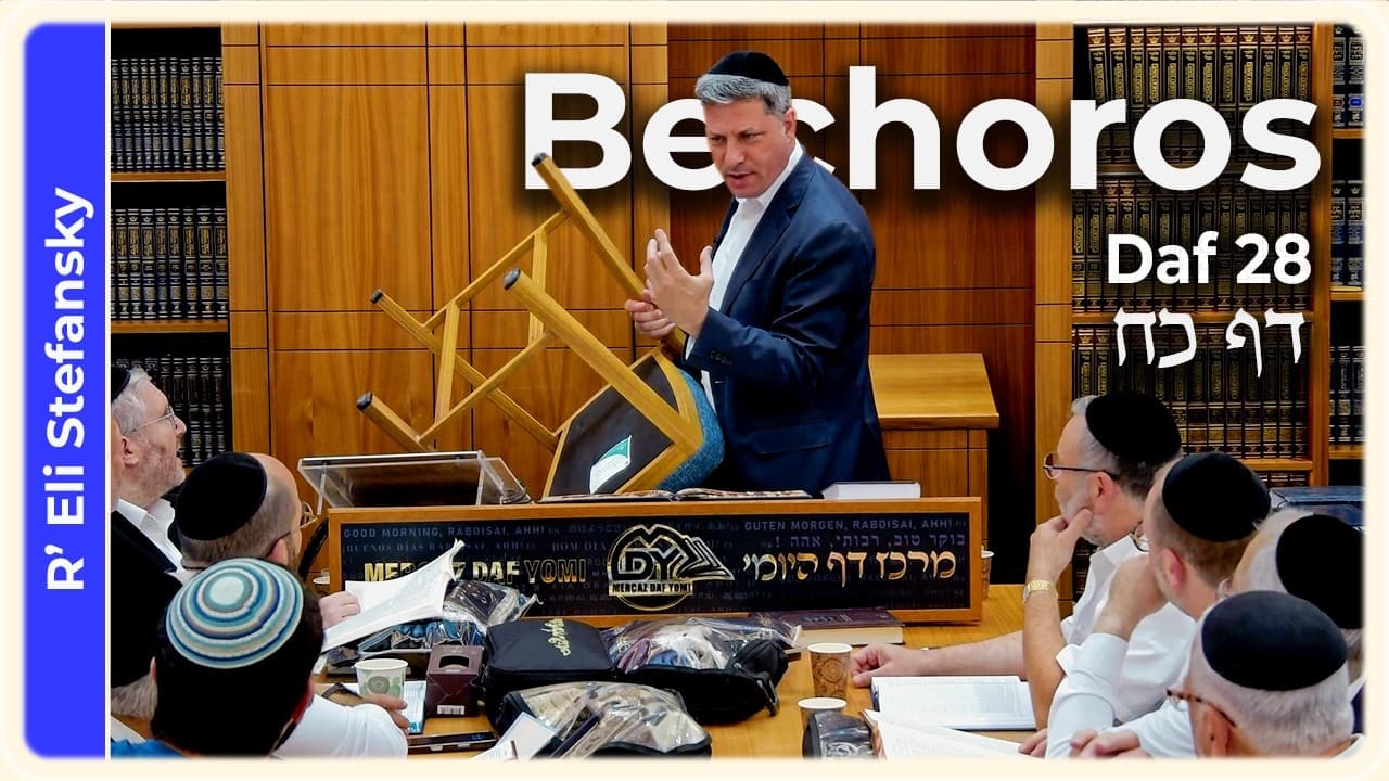 Daf Yomi Bechoros Daf 28 by R' Eli Stefansky