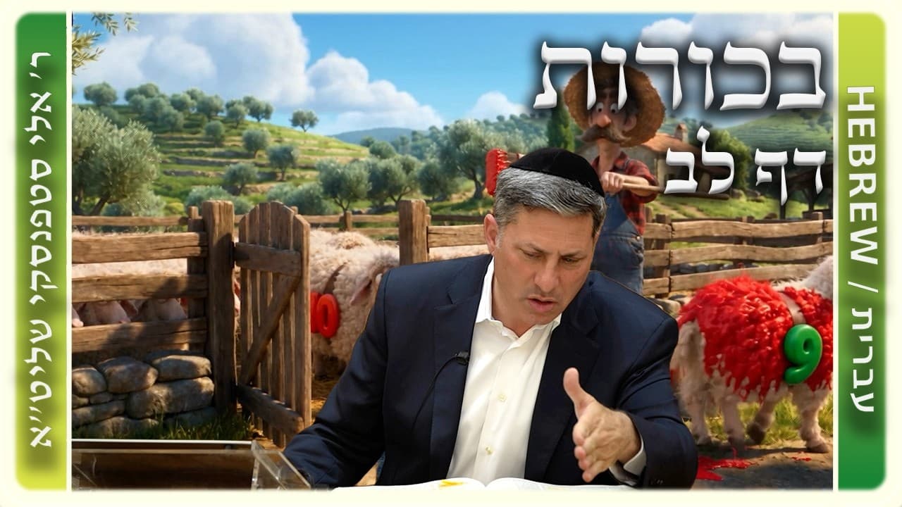 מרכז דף יומי - בכורות דף לב. - ר' אלי סטפנסקי שליט"א