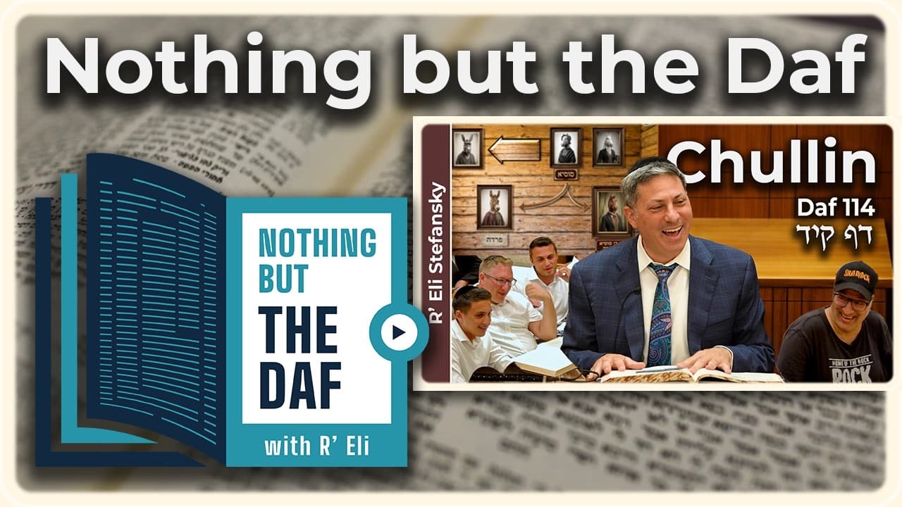 CHAZARAH - Chullin Daf 114 | "Nothing but the Daf" with R' Eli Stefansky