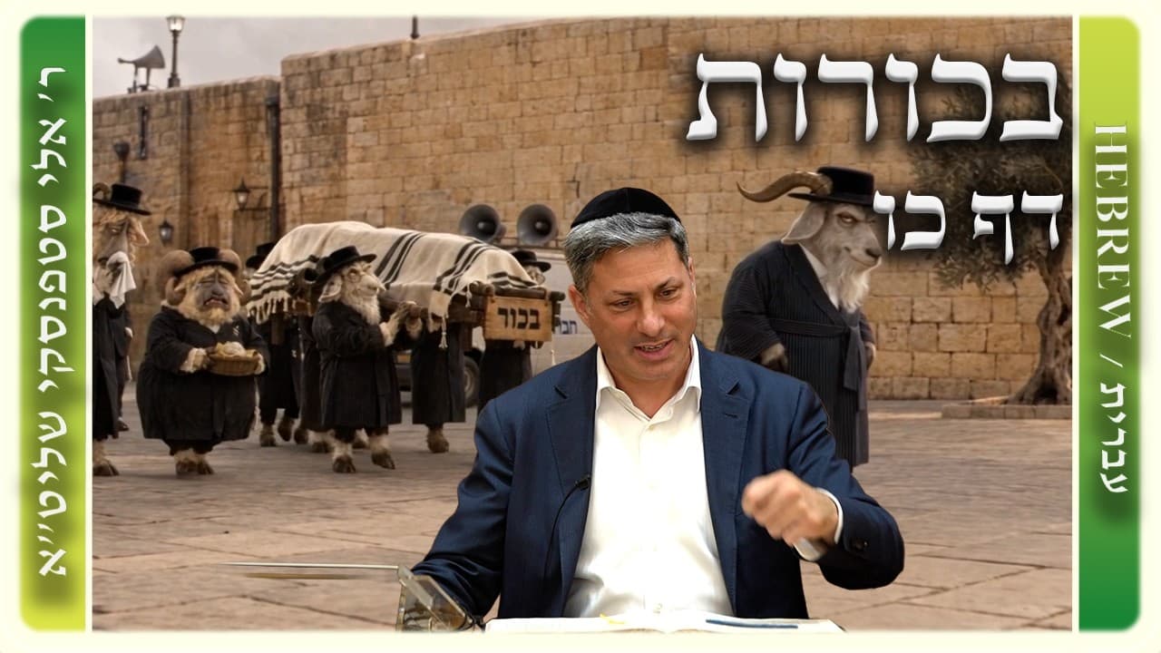מרכז דף יומי - בכורות דף כו. - ר' אלי סטפנסקי שליט"א