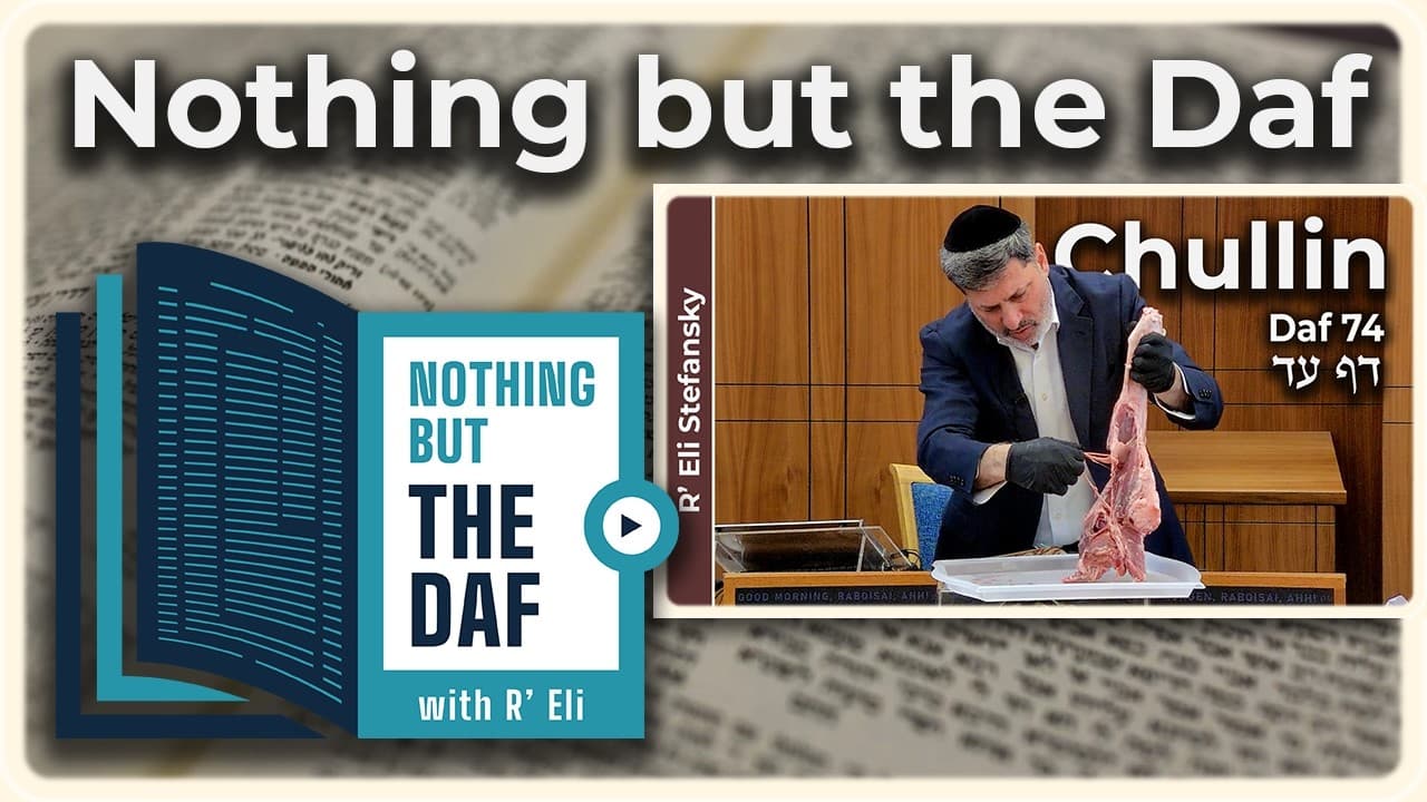 CHAZARAH - Chullin Daf 74 | "Nothing but the Daf" with R' Eli Stefansky