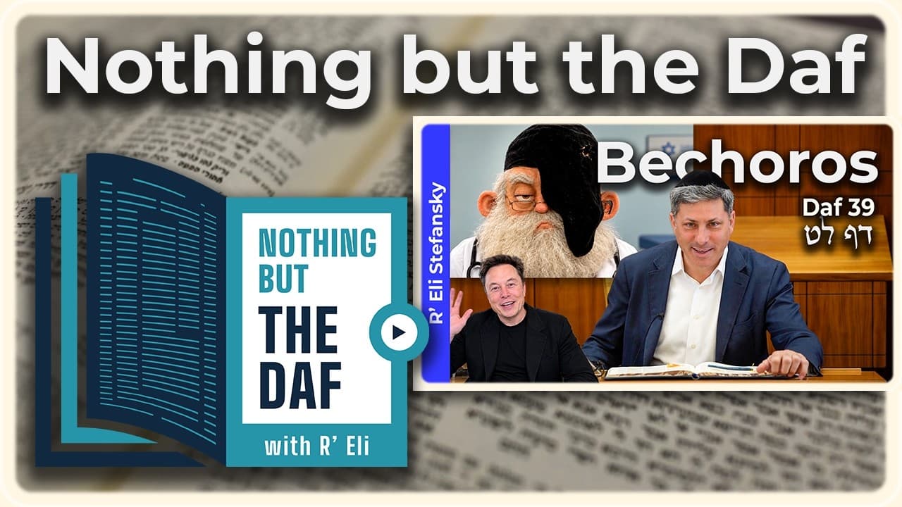 CHAZARAH - Bechoros Daf 39 | "Nothing but the Daf" with R' Eli Stefansky