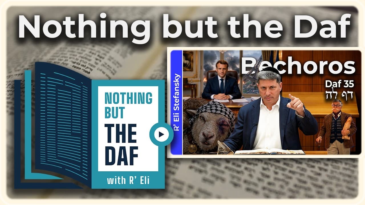 CHAZARAH - Bechoros Daf 35 | "Nothing but the Daf" with R' Eli Stefansky
