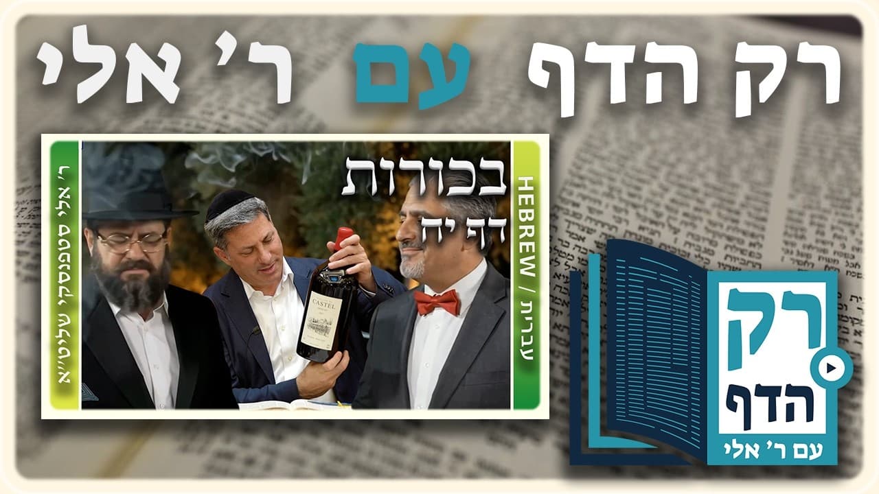 חזרה - בכורות דף יח | "רק הדף" עם ר' אלי סטפנסקי