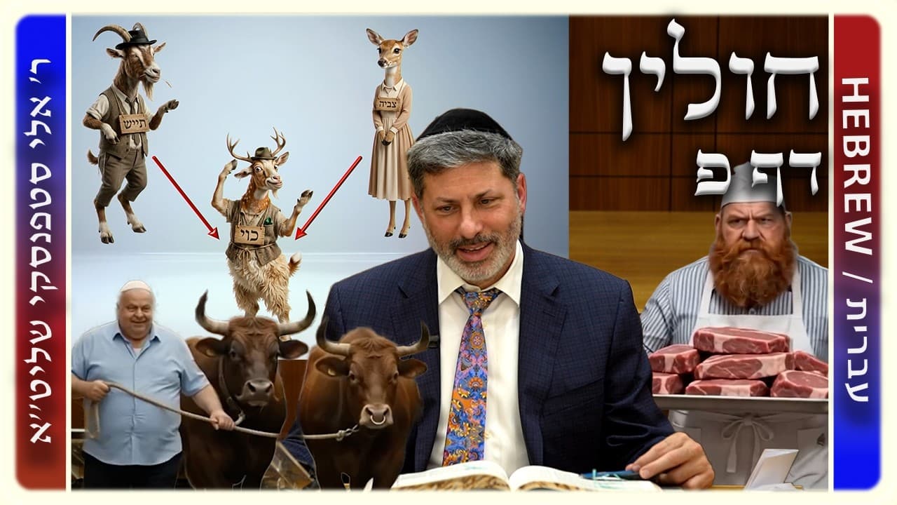מרכז דף יומי - חולין דף פ. - ר' אלי סטפנסקי שליט"א