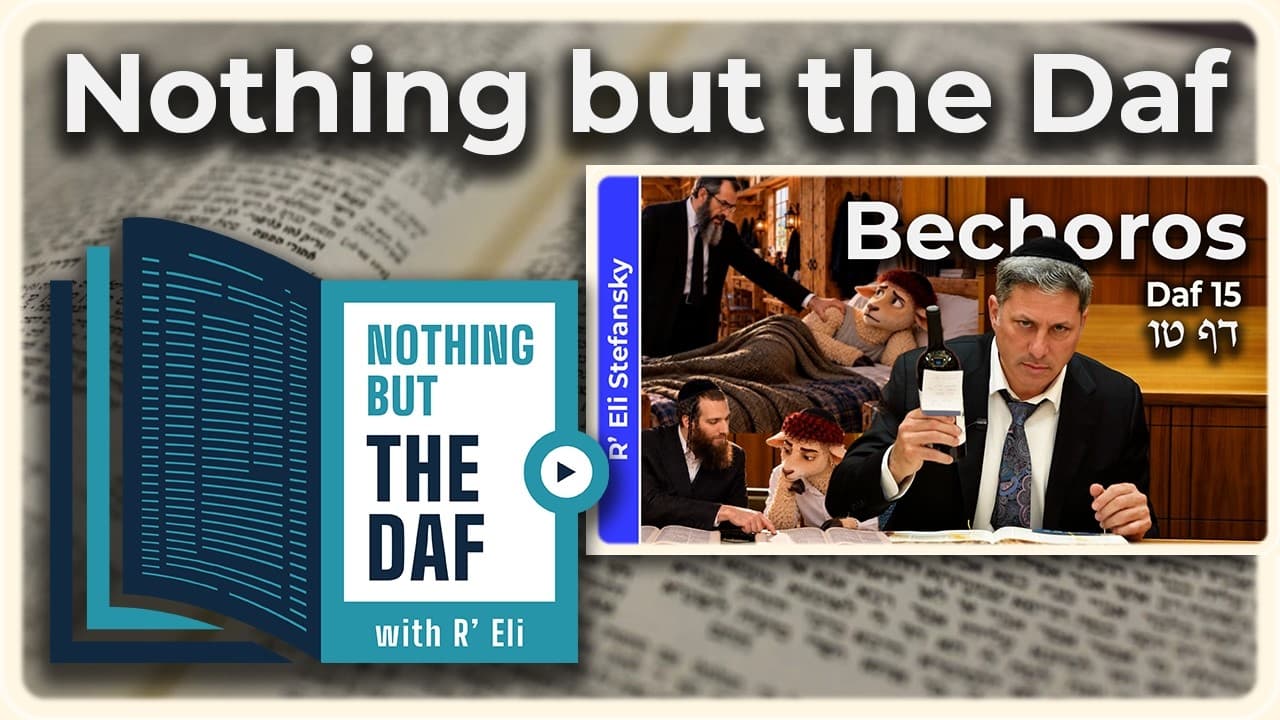CHAZARAH - Bechoros Daf 15 | "Nothing but the Daf" with R' Eli Stefansky