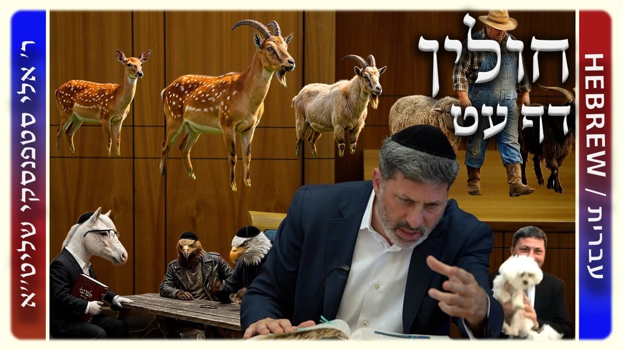 מרכז דף יומי - חולין דף עט. - ר' אלי סטפנסקי שליט"א
