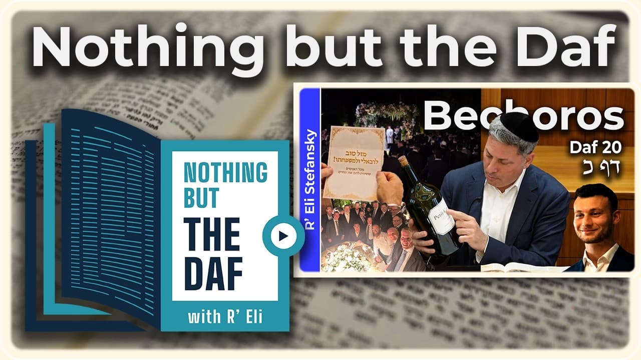 CHAZARAH - Bechoros Daf 20 | "Nothing but the Daf" with R' Eli Stefansky
