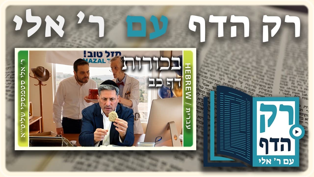 חזרה - בכורות דף כב | "רק הדף" עם ר' אלי סטפנסקי