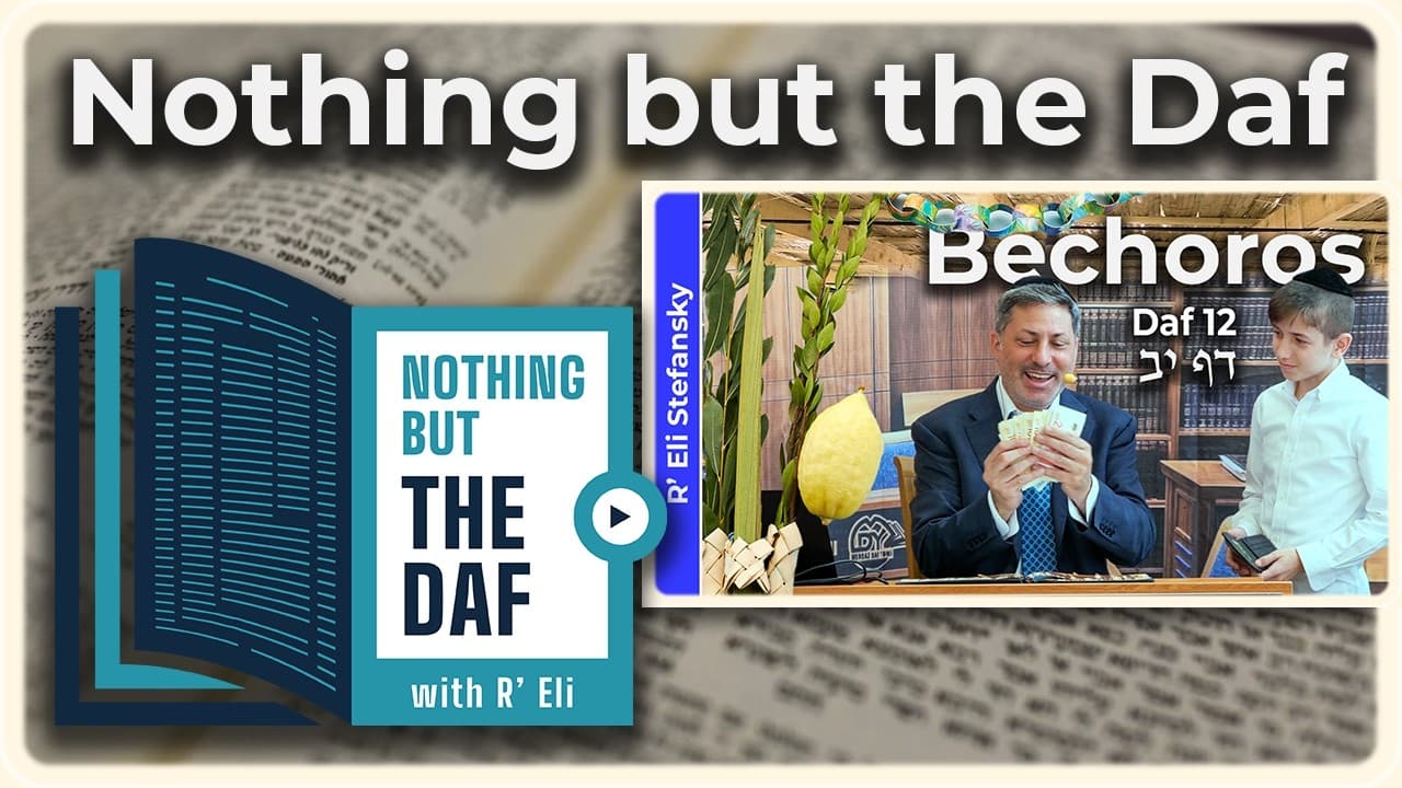 CHAZARAH - Bechoros Daf 12 | "Nothing but the Daf" with R' Eli Stefansky