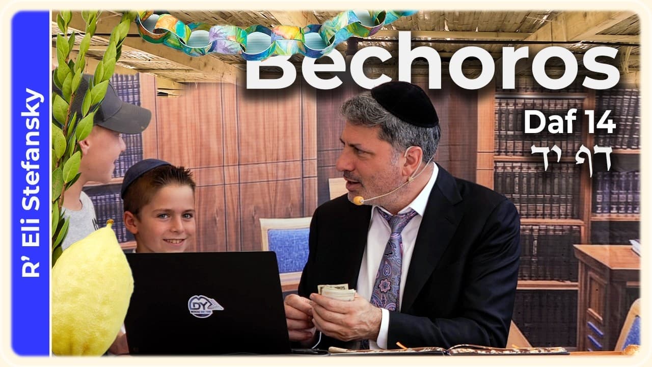Daf Yomi Bechoros Daf 14 by R' Eli Stefansky