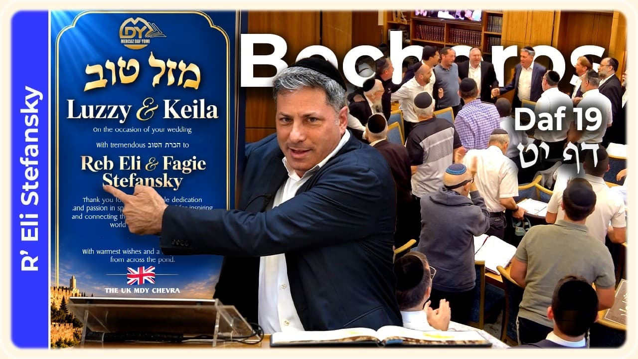 Daf Yomi Bechoros Daf 19 by R' Eli Stefansky