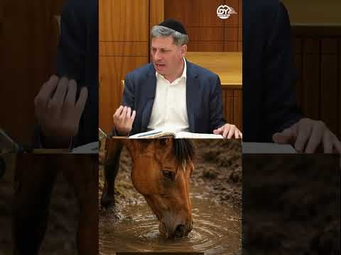 אל תעכיר לעצמך את המים