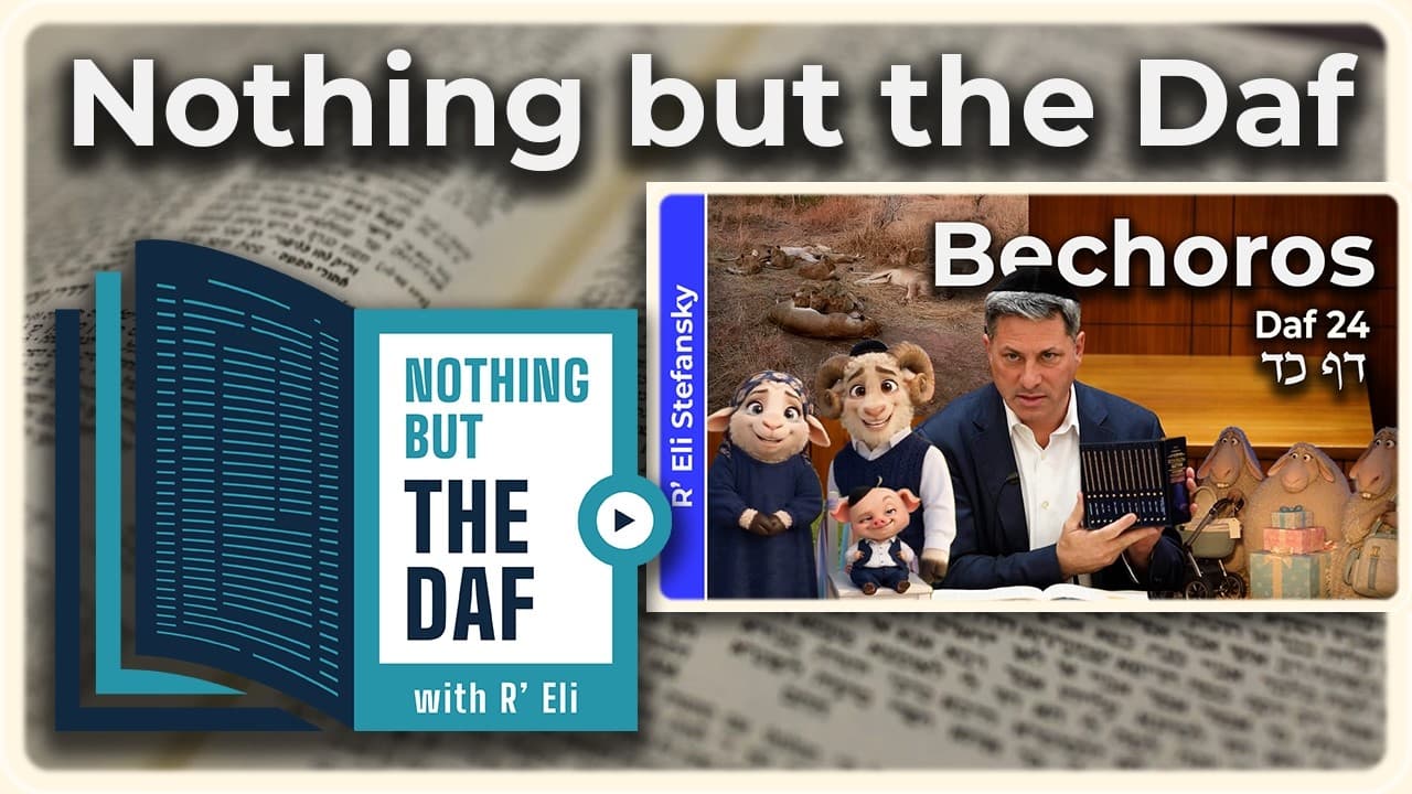 CHAZARAH - Bechoros Daf 24 | "Nothing but the Daf" with R' Eli Stefansky