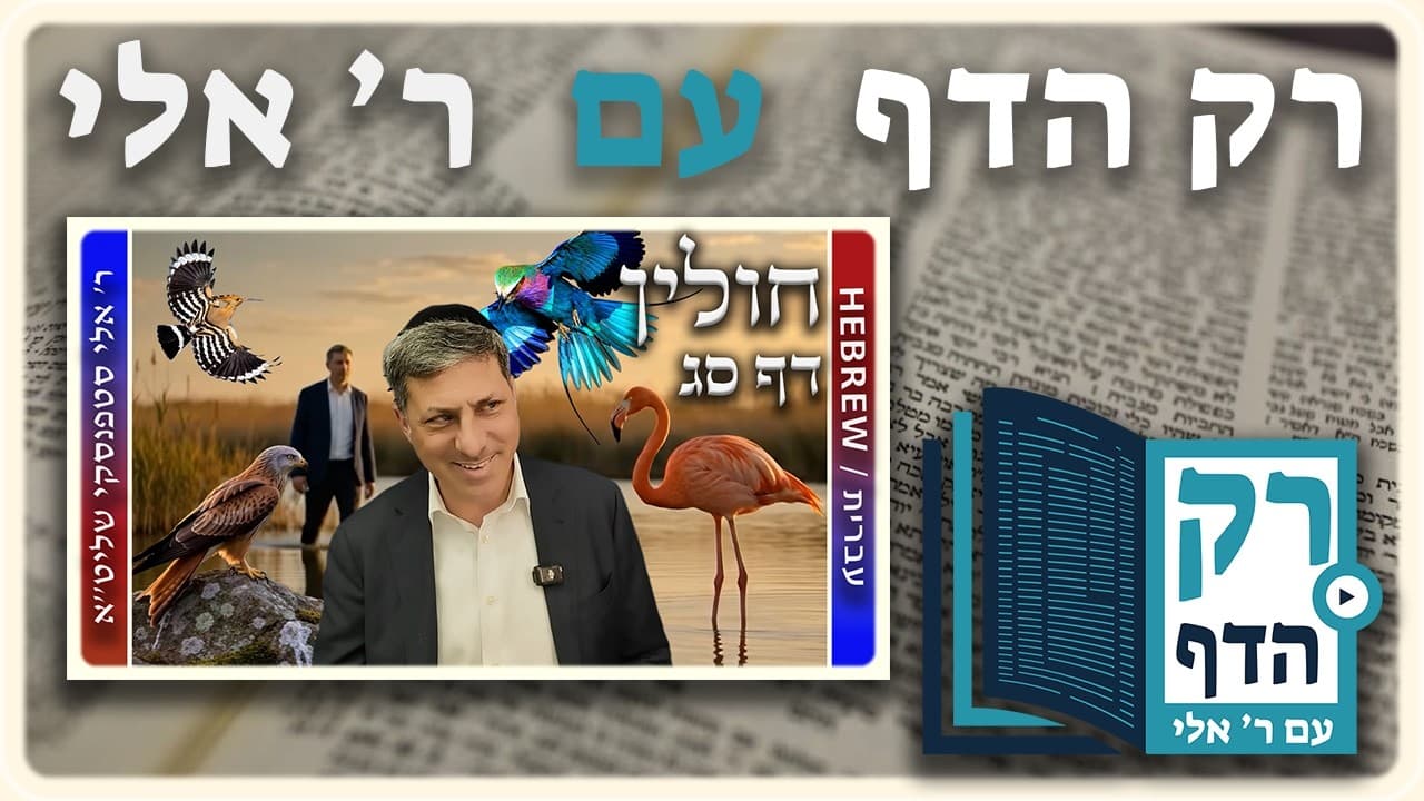 חזרה - חולין דף סג | "רק הדף" עם ר' אלי סטפנסקי