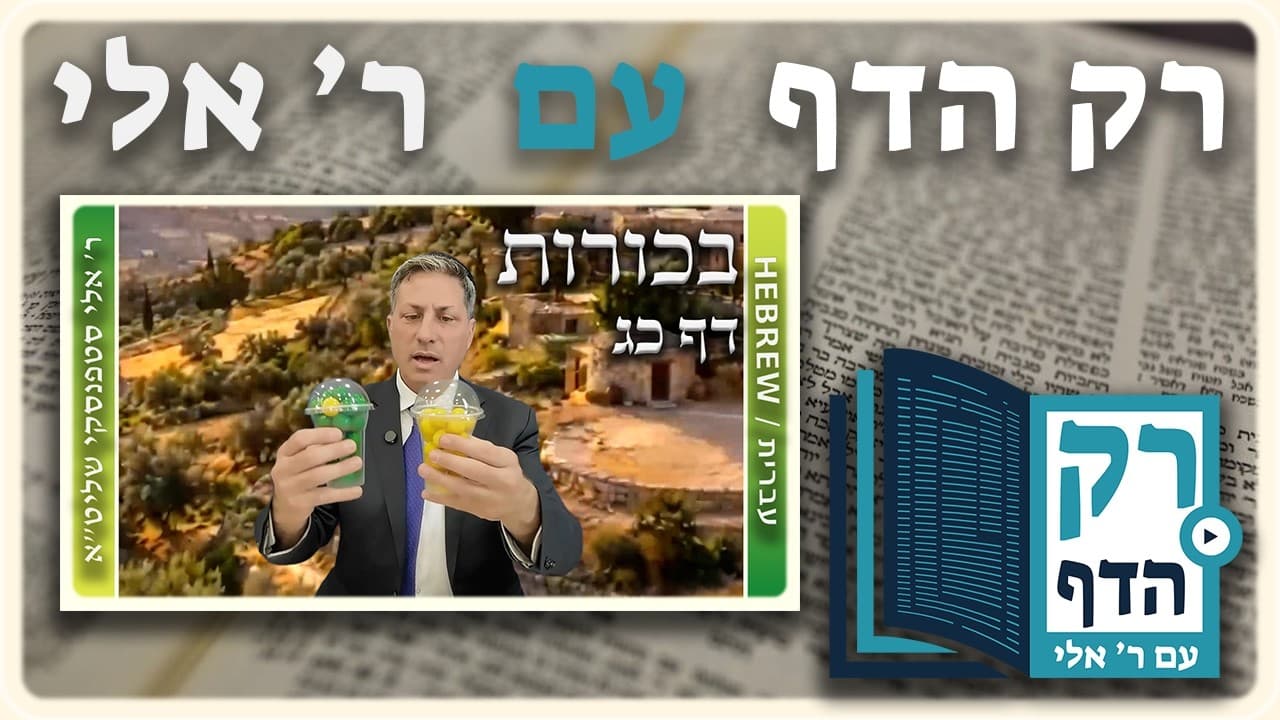 חזרה - בכורות דף כג | "רק הדף" עם ר' אלי סטפנסקי