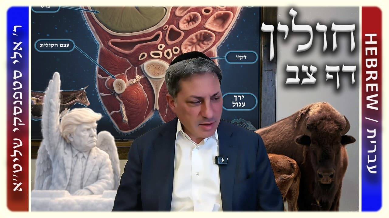 מרכז דף יומי - חולין דף צב. - ר' אלי סטפנסקי שליט"א