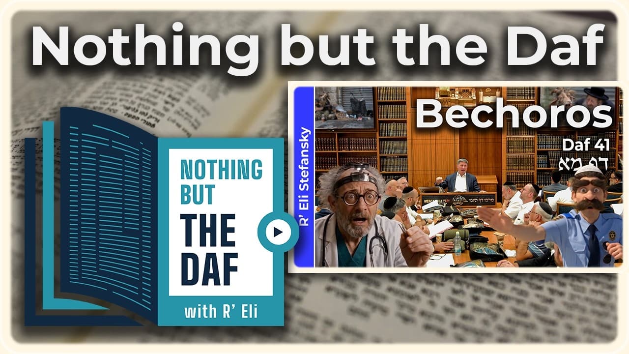 CHAZARAH - Bechoros Daf 41 | "Nothing but the Daf" with R' Eli Stefansky