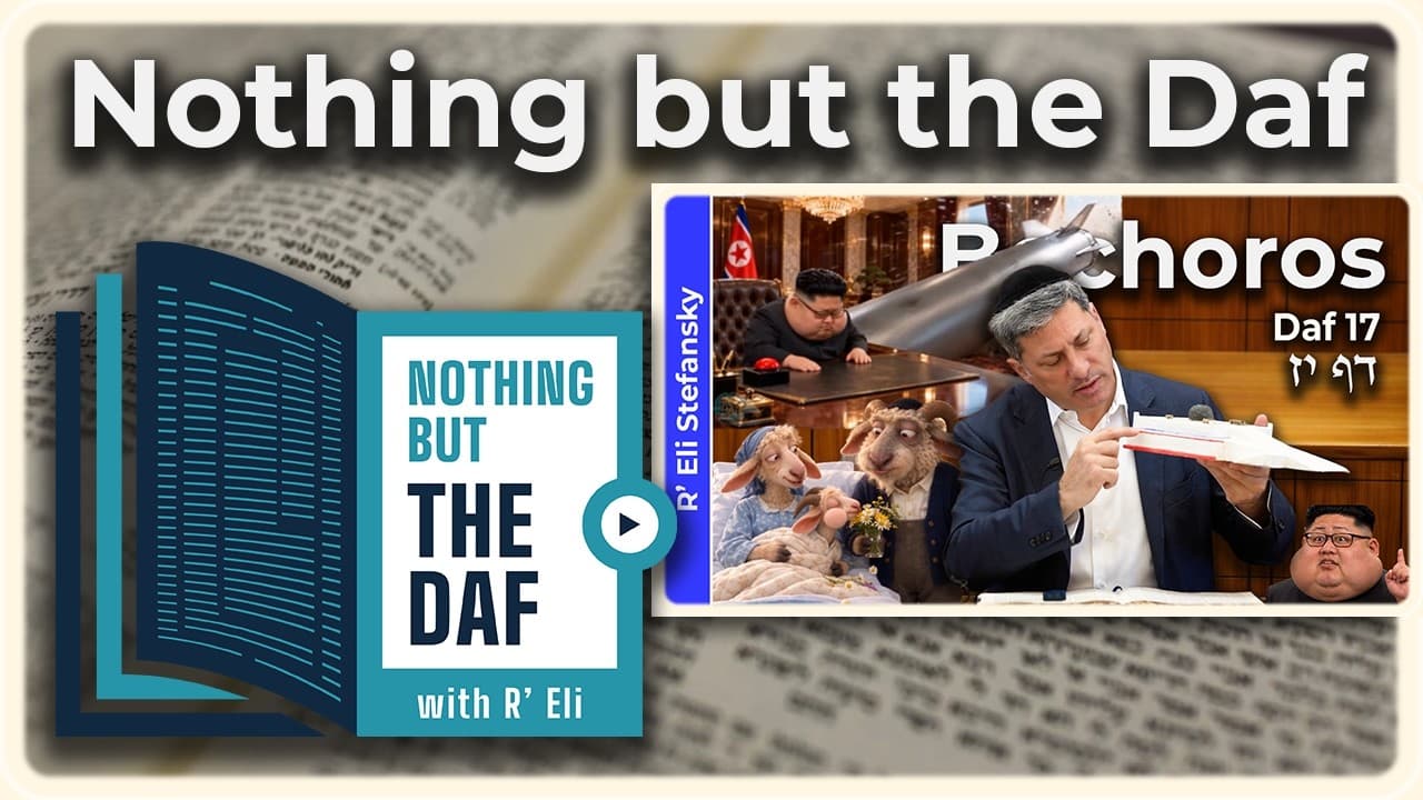 CHAZARAH - Bechoros Daf 17 | "Nothing but the Daf" with R' Eli Stefansky