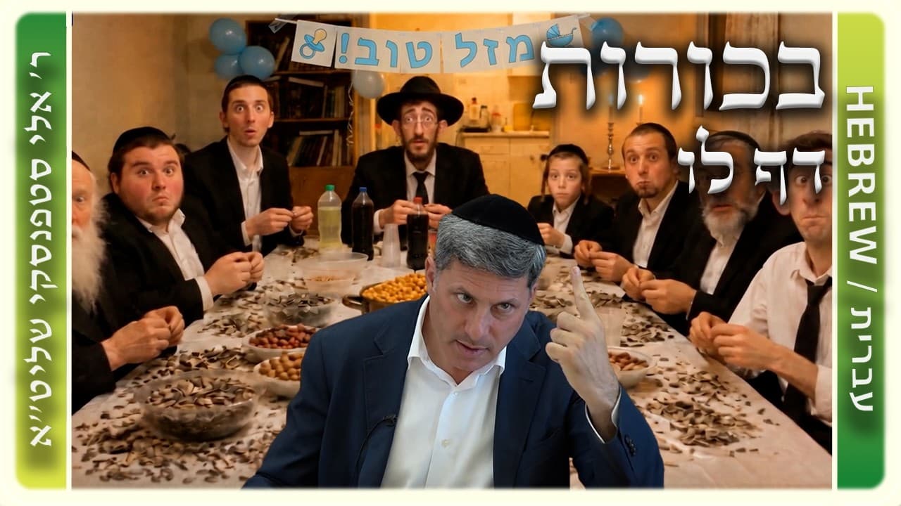 מרכז דף יומי - בכורות דף לו. - ר' אלי סטפנסקי שליט"א