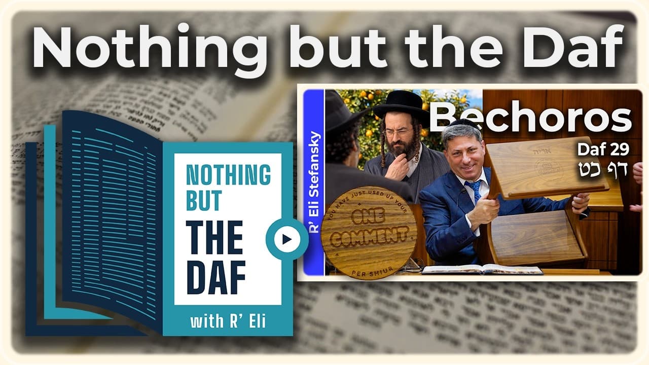 CHAZARAH - Bechoros Daf 29 | "Nothing but the Daf" with R' Eli Stefansky