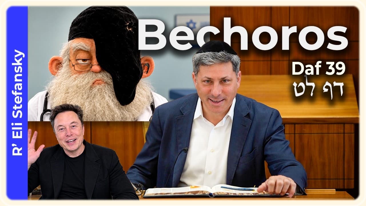 Daf Yomi Bechoros Daf 39 by R' Eli Stefansky