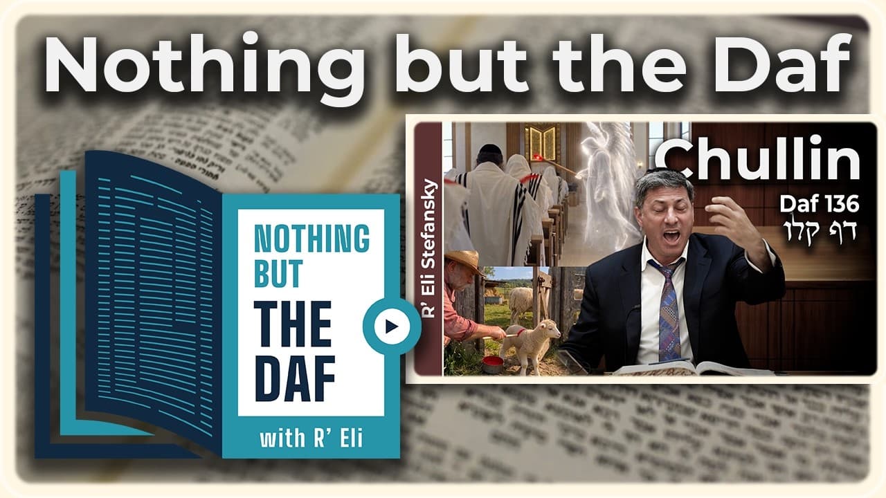 CHAZARAH - Chullin Daf 136 | "Nothing but the Daf" with R' Eli Stefansky