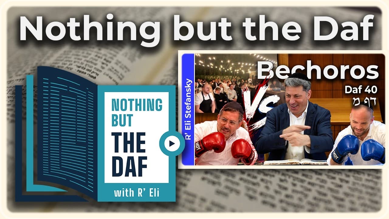 CHAZARAH - Bechoros Daf 40 | "Nothing but the Daf" with R' Eli Stefansky