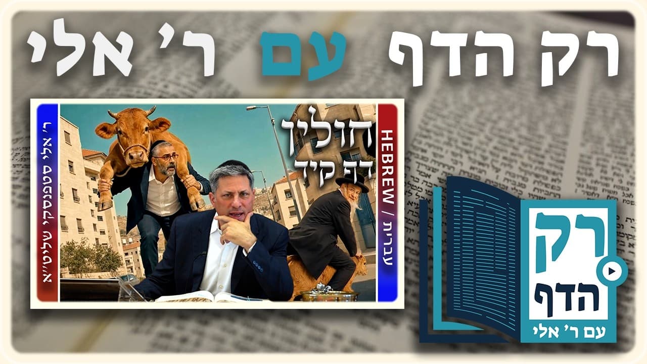 חזרה - חולין דף קיד | "רק הדף" עם ר' אלי סטפנסקי