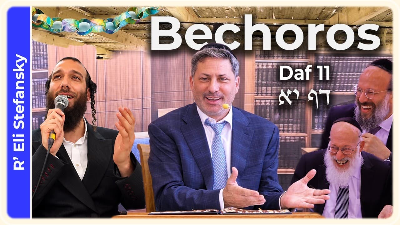 Daf Yomi Bechoros Daf 11 by R' Eli Stefansky