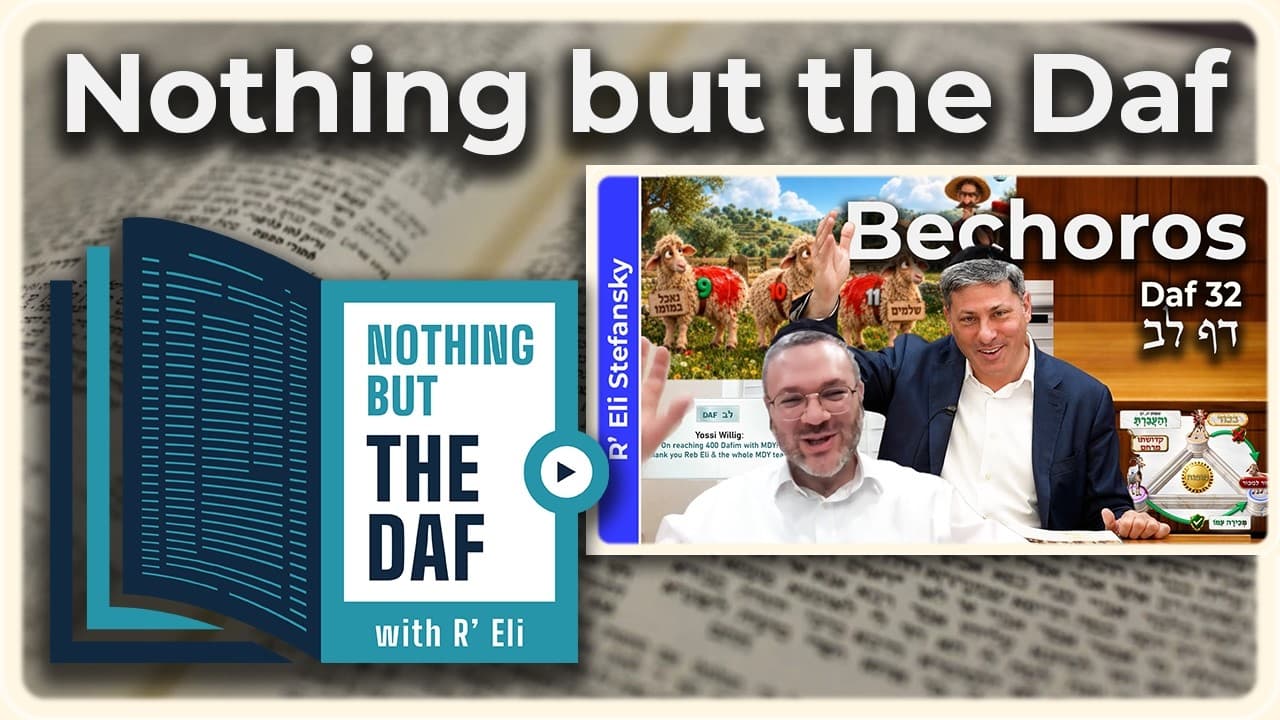 CHAZARAH - Bechoros Daf 32 | "Nothing but the Daf" with R' Eli Stefansky
