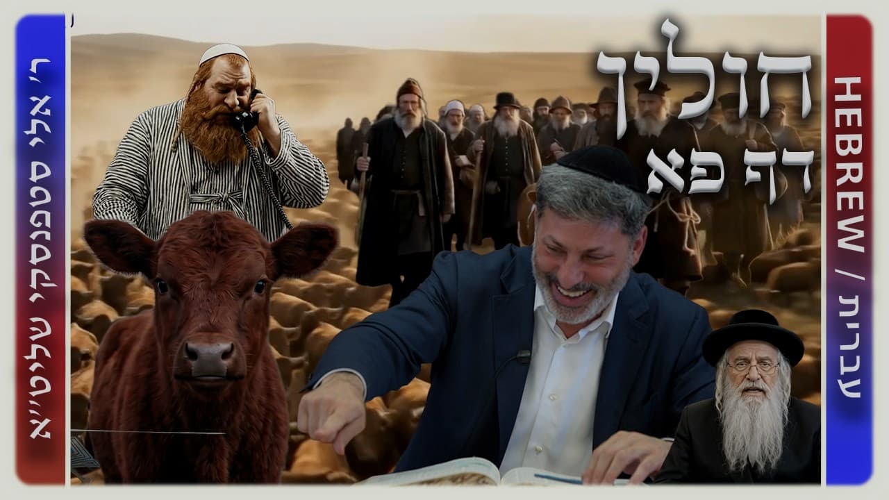 מרכז דף יומי - חולין דף פא. - ר' אלי סטפנסקי שליט"א