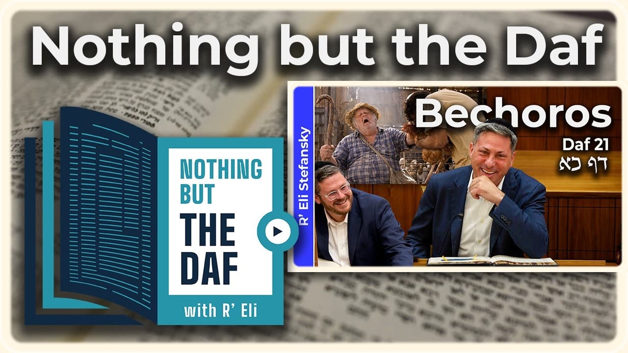 CHAZARAH - Bechoros Daf 21 | "Nothing but the Daf" with R' Eli Stefansky