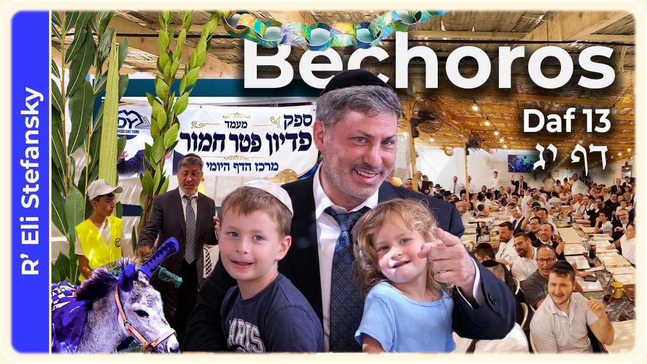 Daf Yomi Bechoros Daf 13 by R' Eli Stefansky
