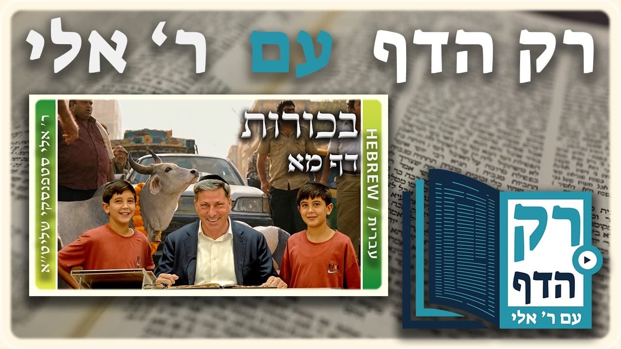 חזרה - בכורות דף מא | "רק הדף" עם ר' אלי סטפנסקי