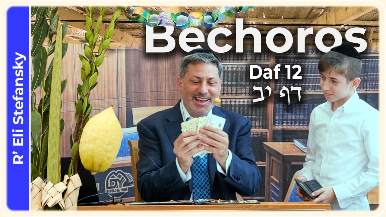 Daf Yomi Bechoros Daf 12 by R' Eli Stefansky