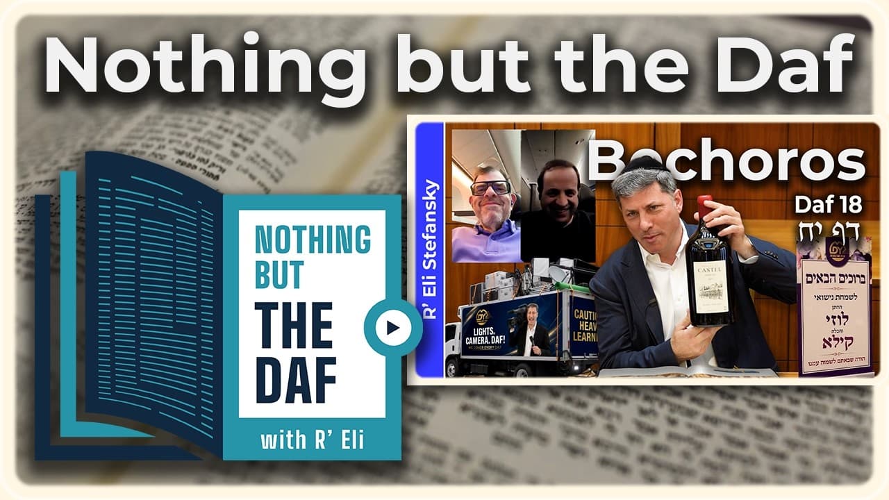 CHAZARAH - Bechoros Daf 18 | "Nothing but the Daf" with R' Eli Stefansky
