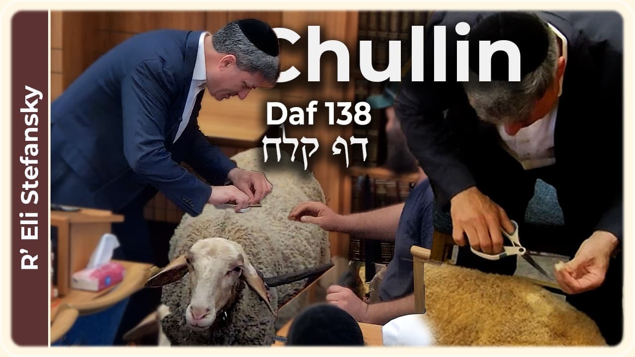 Daf Yomi Chullin Daf 138 by R' Eli Stefansky