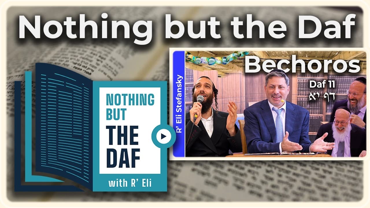 CHAZARAH - Bechoros Daf 11 | "Nothing but the Daf" with R' Eli Stefansky