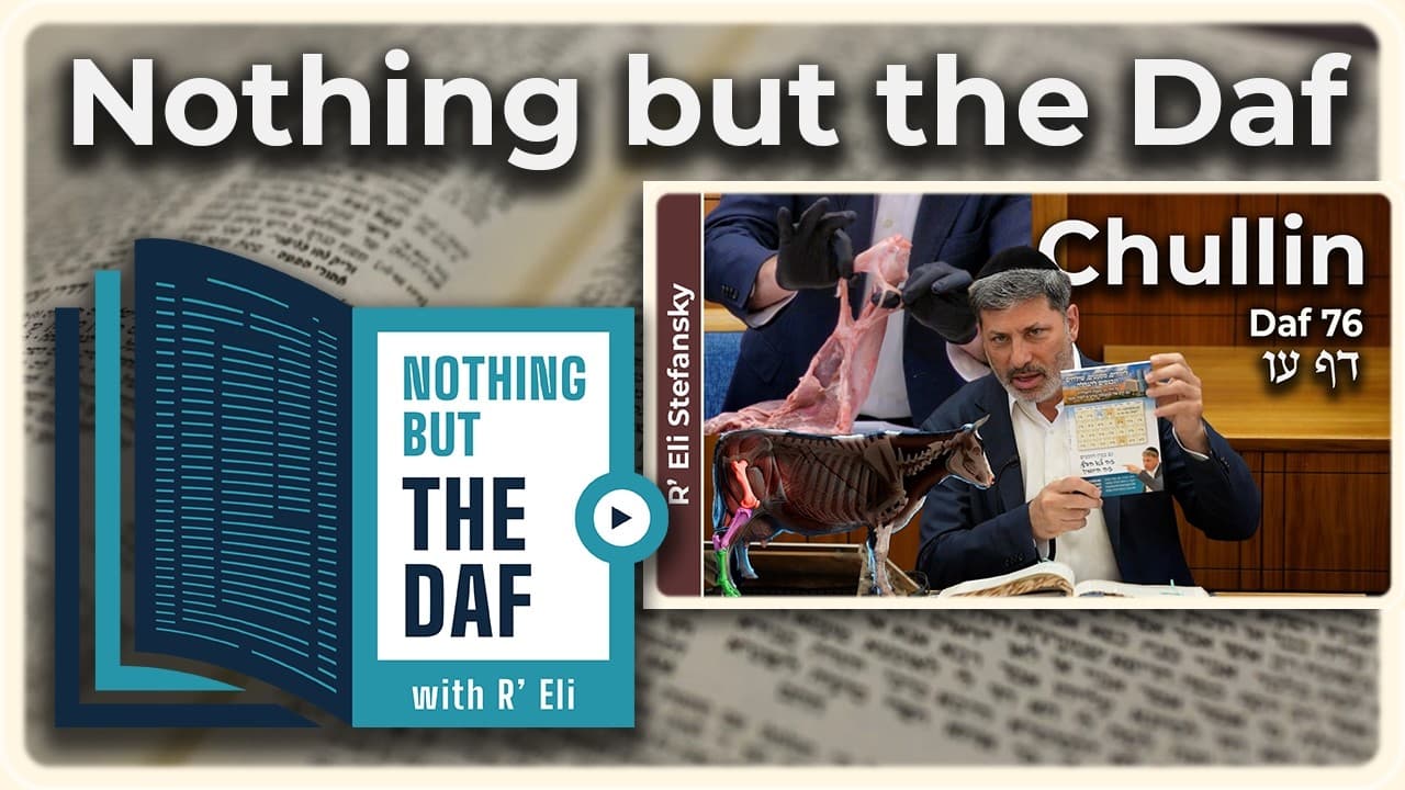CHAZARAH - Chullin Daf 76 | "Nothing but the Daf" with R' Eli Stefansky