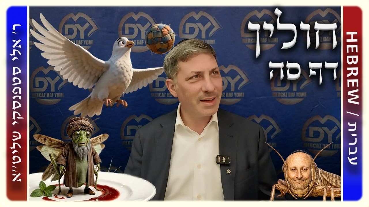 מרכז דף יומי - חולין דף סה. - ר' אלי סטפנסקי שליט"א