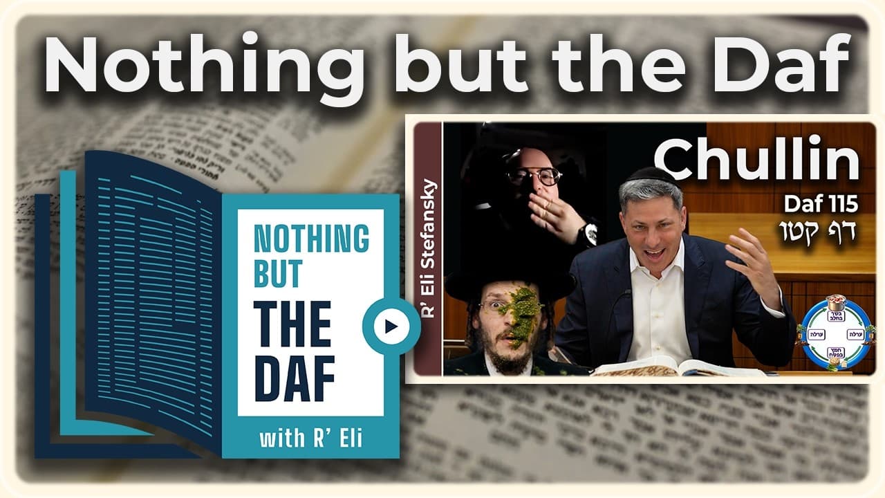 CHAZARAH - Chullin Daf 115 | "Nothing but the Daf" with R' Eli Stefansky